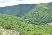 DSC 5194