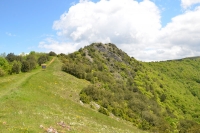 DSC 5181