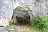 DSC 5247
