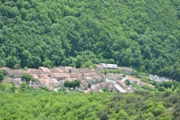 DSC 5208