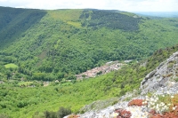 DSC 5193